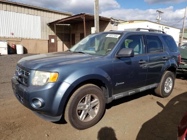 2011 Ford Escape Hybrid