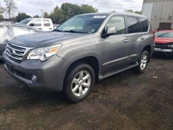 Flood-damaged cars for sale at auction: 2013 Lexus GX 460