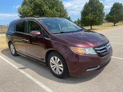 Vehiculos salvage en venta de Copart Oklahoma City, OK: 2014 Honda Odyssey EXL