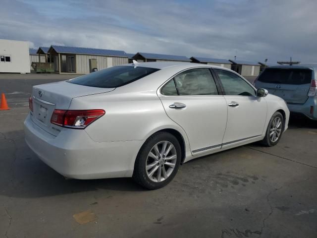 2010 Lexus ES 350