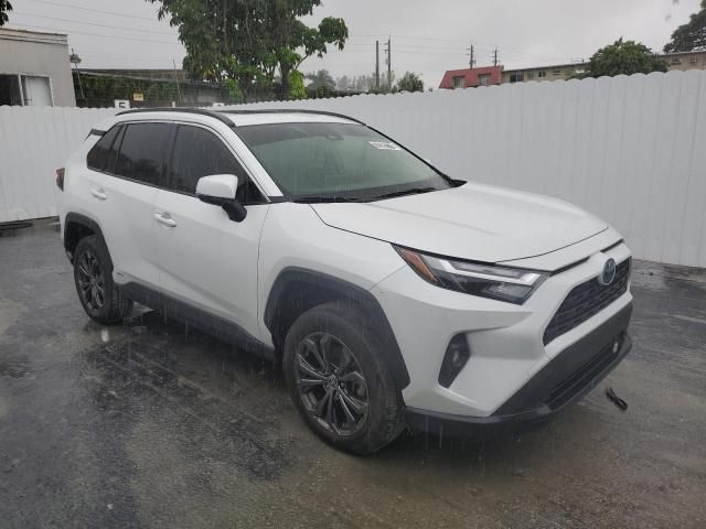 2023 Toyota Rav4 XLE Premium