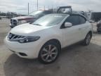 2014 Nissan Murano Crosscabriolet