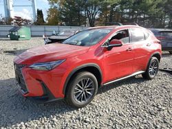 Salvage cars for sale at Windsor, NJ auction: 2023 Lexus NX 350H