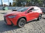 2023 Lexus NX 350H