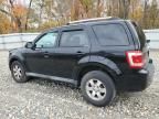 2010 Ford Escape Limited