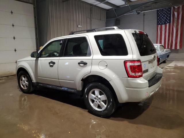 2009 Ford Escape XLT