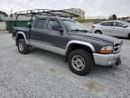 2003 Dodge Dakota Quad SLT