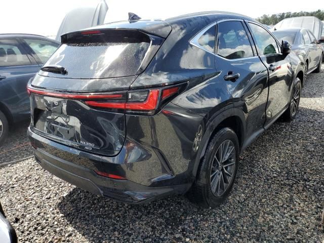 2024 Lexus NX 350 Premium