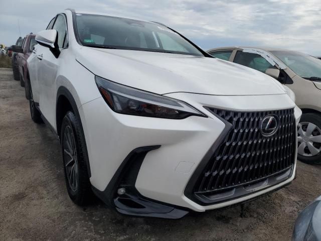 2022 Lexus NX 250