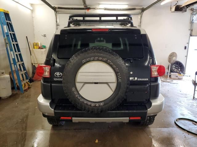 2010 Toyota FJ Cruiser