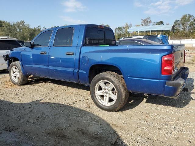 2008 Dodge Dakota SXT