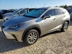 2019 Lexus NX 300H