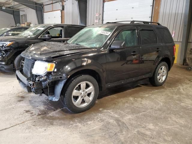 2011 Ford Escape XLT