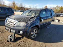 Honda salvage cars for sale: 2011 Honda Pilot EX