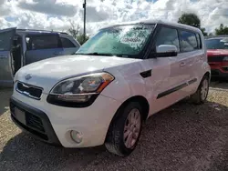 Salvage cars for sale at Arcadia, FL auction: 2012 KIA Soul +