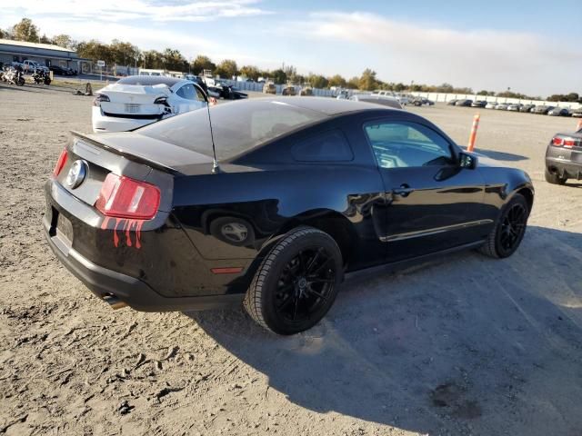 2010 Ford Mustang