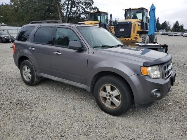 2009 Ford Escape XLT