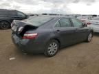 2009 Toyota Camry Hybrid