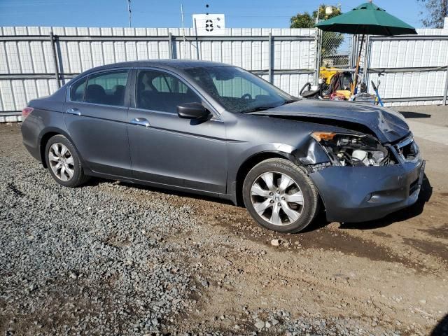 2010 Honda Accord EXL