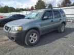 2005 Ford Escape XLT