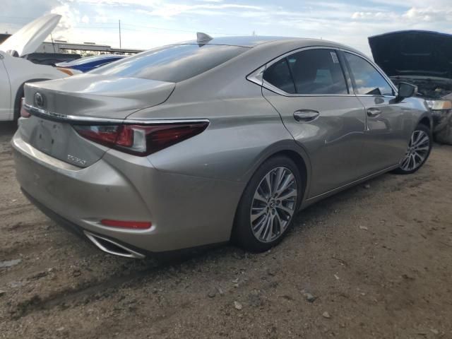 2019 Lexus ES 350