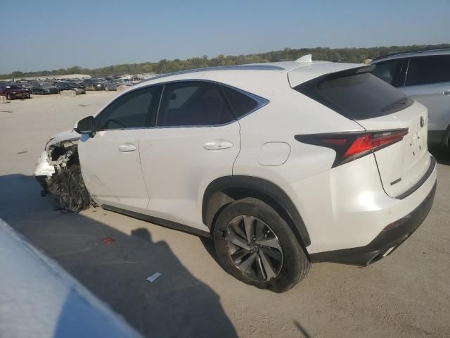 2019 Lexus NX 300 Base