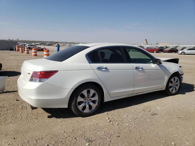 2009 Honda Accord EXL