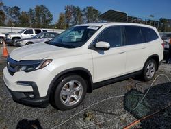 Salvage cars for sale at Spartanburg, SC auction: 2019 Honda Pilot EXL