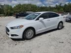 2013 Ford Fusion SE Hybrid