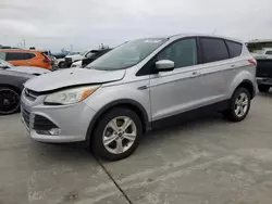 Ford salvage cars for sale: 2014 Ford Escape SE