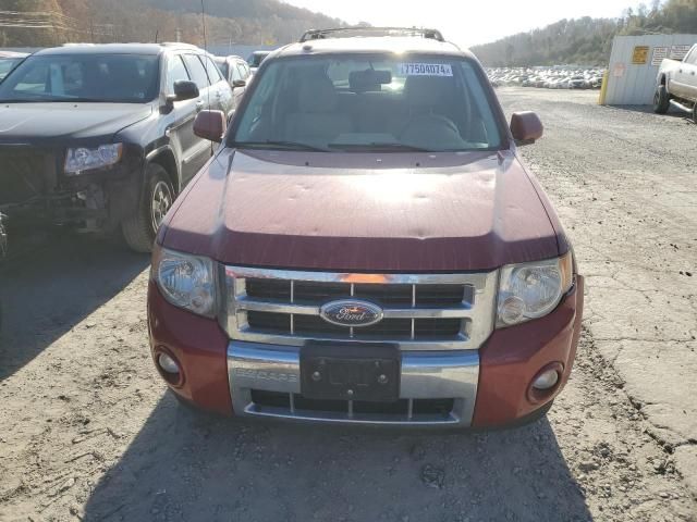 2009 Ford Escape Limited