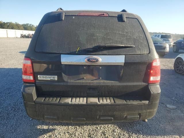 2011 Ford Escape Limited