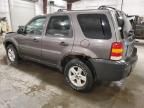 2005 Ford Escape HEV