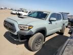 2021 Toyota Tacoma Double Cab