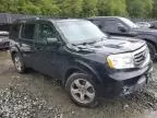 2015 Honda Pilot EXL