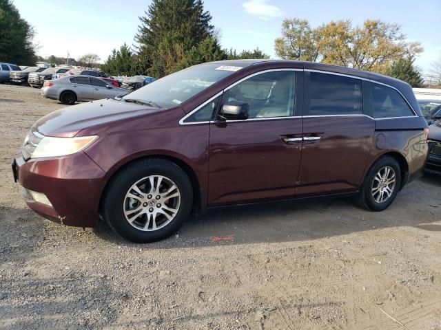 2011 Honda Odyssey EXL