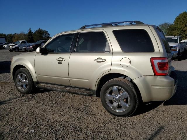 2011 Ford Escape Limited