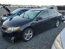 Toyota salvage cars for sale: 2013 Toyota Camry L