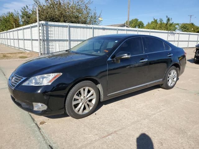 2010 Lexus ES 350