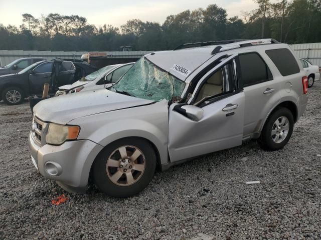 2010 Ford Escape Limited