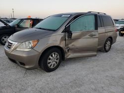 Salvage cars for sale at Arcadia, FL auction: 2010 Honda Odyssey EXL