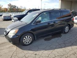 Salvage cars for sale at Fort Wayne, IN auction: 2010 Honda Odyssey EXL