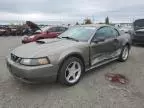 2001 Ford Mustang GT