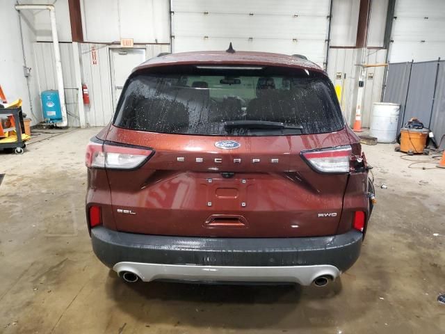 2021 Ford Escape SEL