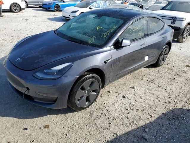 2021 Tesla Model 3