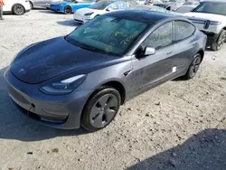 Salvage cars for sale at auction: 2021 Tesla Model 3