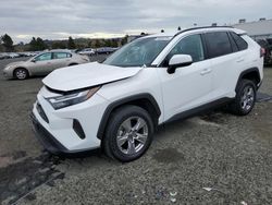 Toyota salvage cars for sale: 2022 Toyota Rav4 XLE