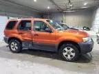 2006 Ford Escape XLT