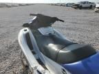 2006 Kawasaki 2JETSKI+TL