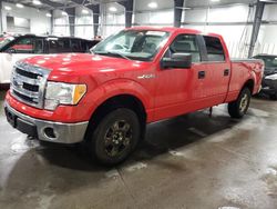 Salvage cars for sale at Ham Lake, MN auction: 2013 Ford F150 Supercrew